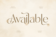 Rainfall - Elegant Display Font, a Sans Serif Font by Sensatype (Thumbnail 6 of 16)