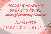 Rugani Payne - Textured Brush Font, a Script Font by StringLabs (Thumbnail 10 of 12)