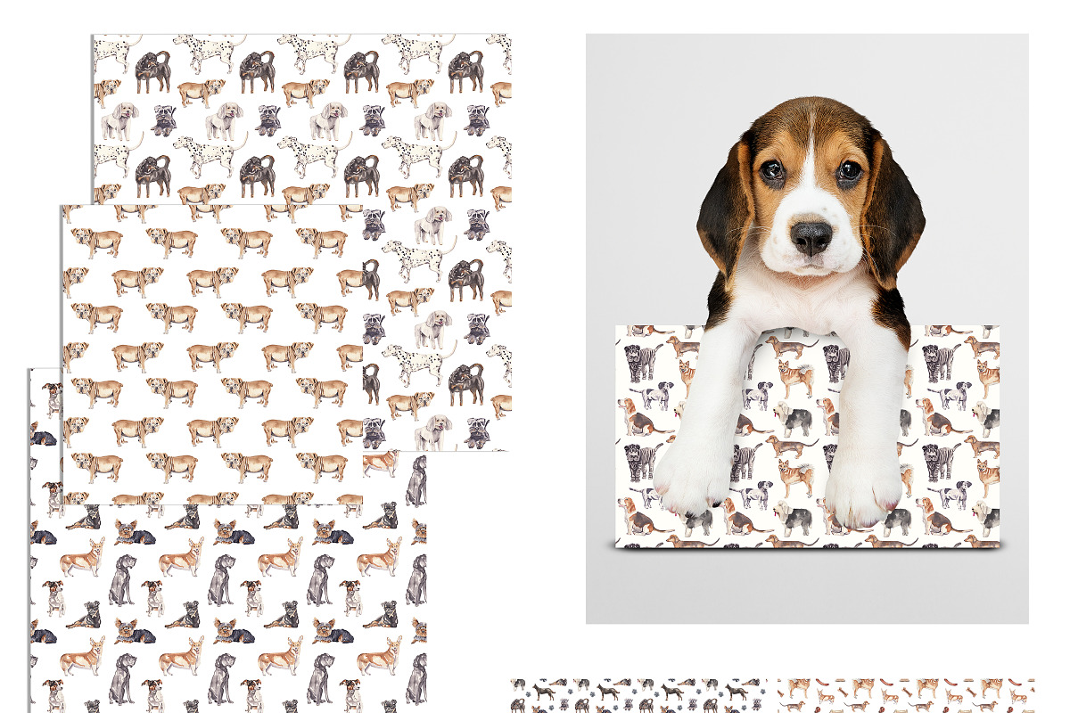 Dogs Alphabet, clipart & patterns, an Animal Illustration by Visual Animal (Photo 6 of 8)
