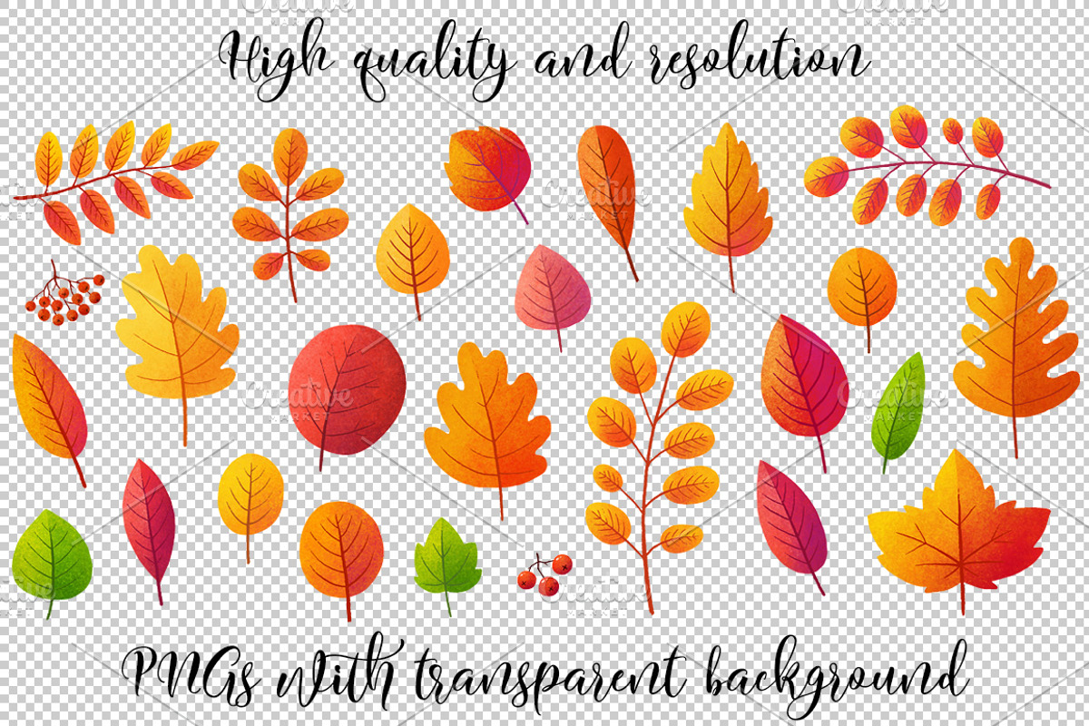 Textured autumn leaves (PNG+EPS), an Object Graphic by Art of Sun (Photo 2 of 3)