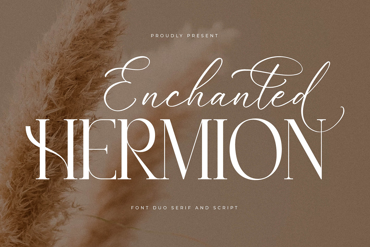 Enchanted Hermion Font Duo, a Serif Font by Storytype Studio (Photo 1 of 15)