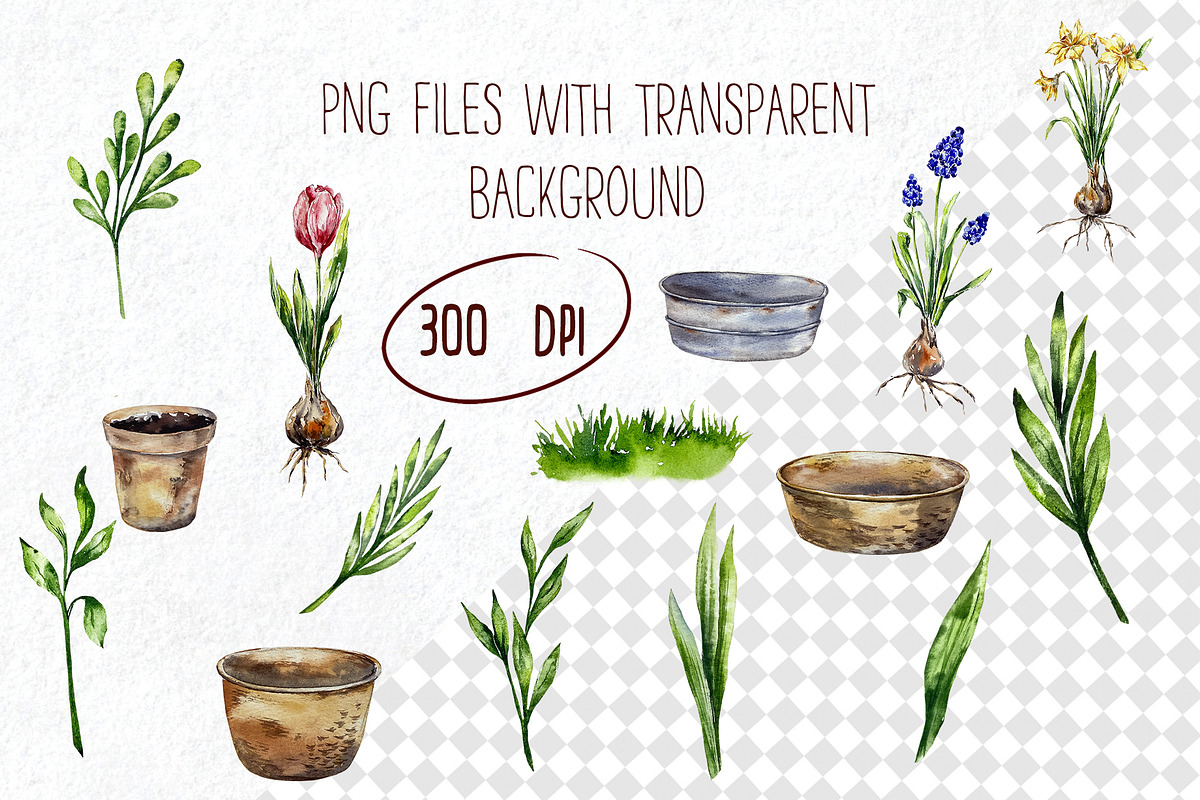 Plants gardedidng watercolor clipart, an Object Graphic by Lidia's watercolor world (Photo 3 of 4)