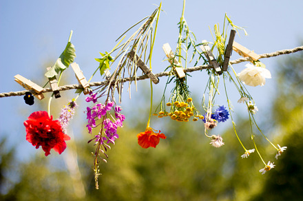 Let All Flowers Bloom Fine Art Print