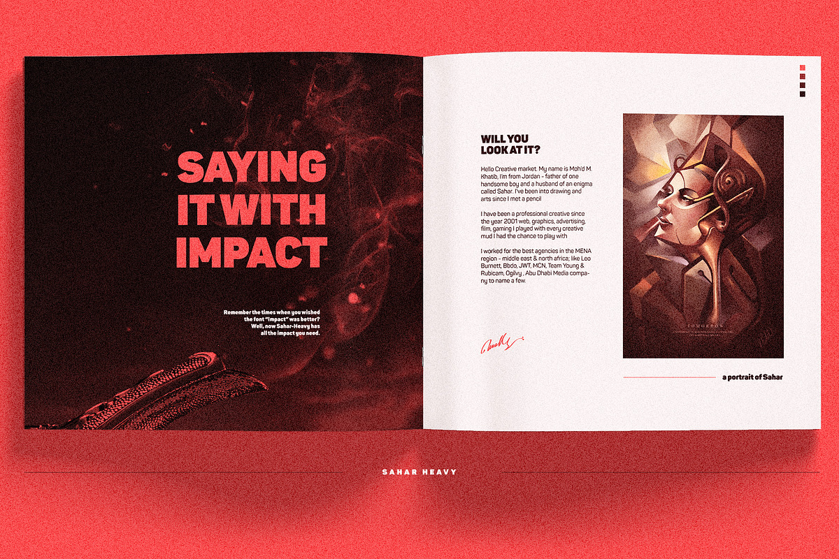 Sahar Heavy (Roman & Italic), a Sans Serif Font by Lella7 (Photo 7 of 15)