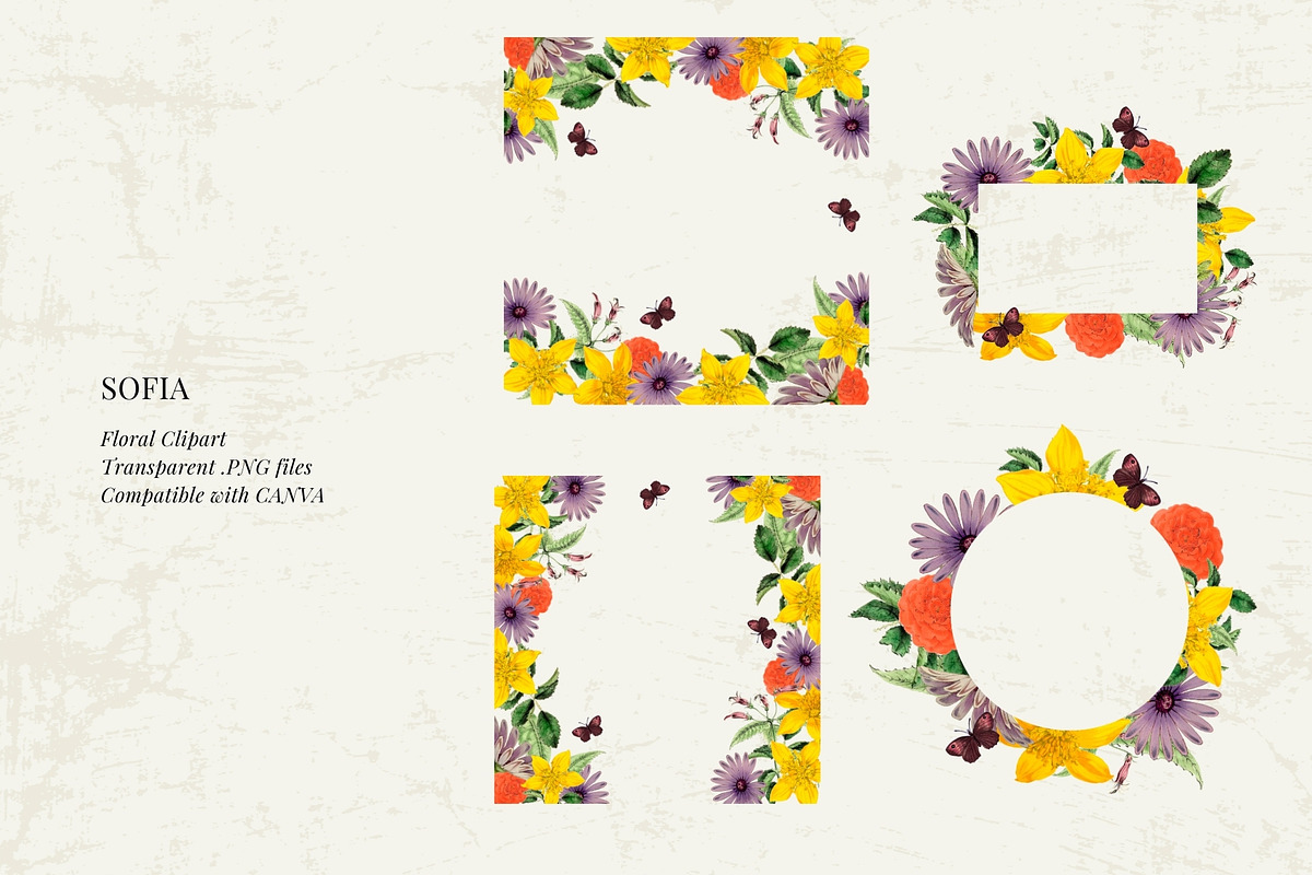 Antique flowers illustrations, an Illustration by AS Studio (Photo 4 of 8)