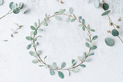 Watercolor Botanical Wreath Clipart, a Graphic by Creativeshirt (Thumbnail 13 of 13)