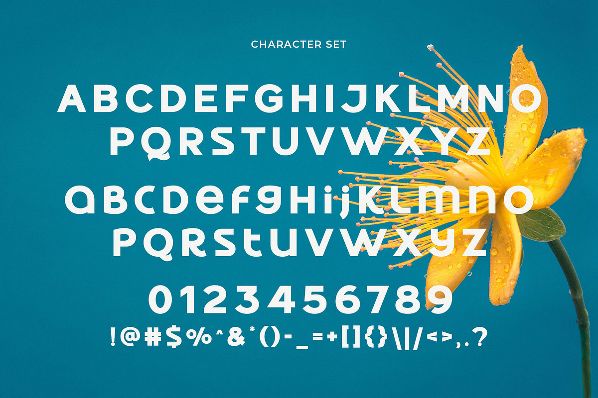 Quickner - Display Sans Serif, a Sans Serif Font by Typeformers (Photo 5 of 5)