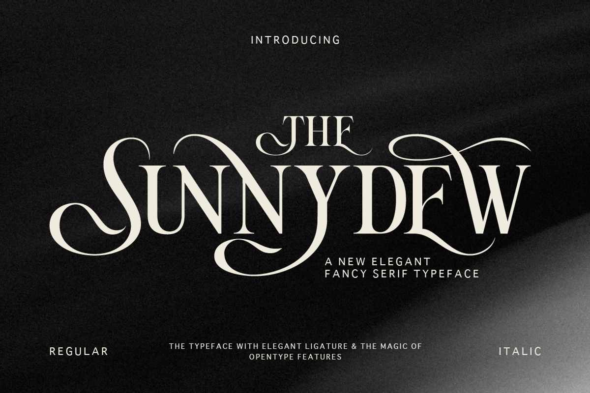 Sunnydew, a Serif Font by Burntilldead (Photo 1 of 11)