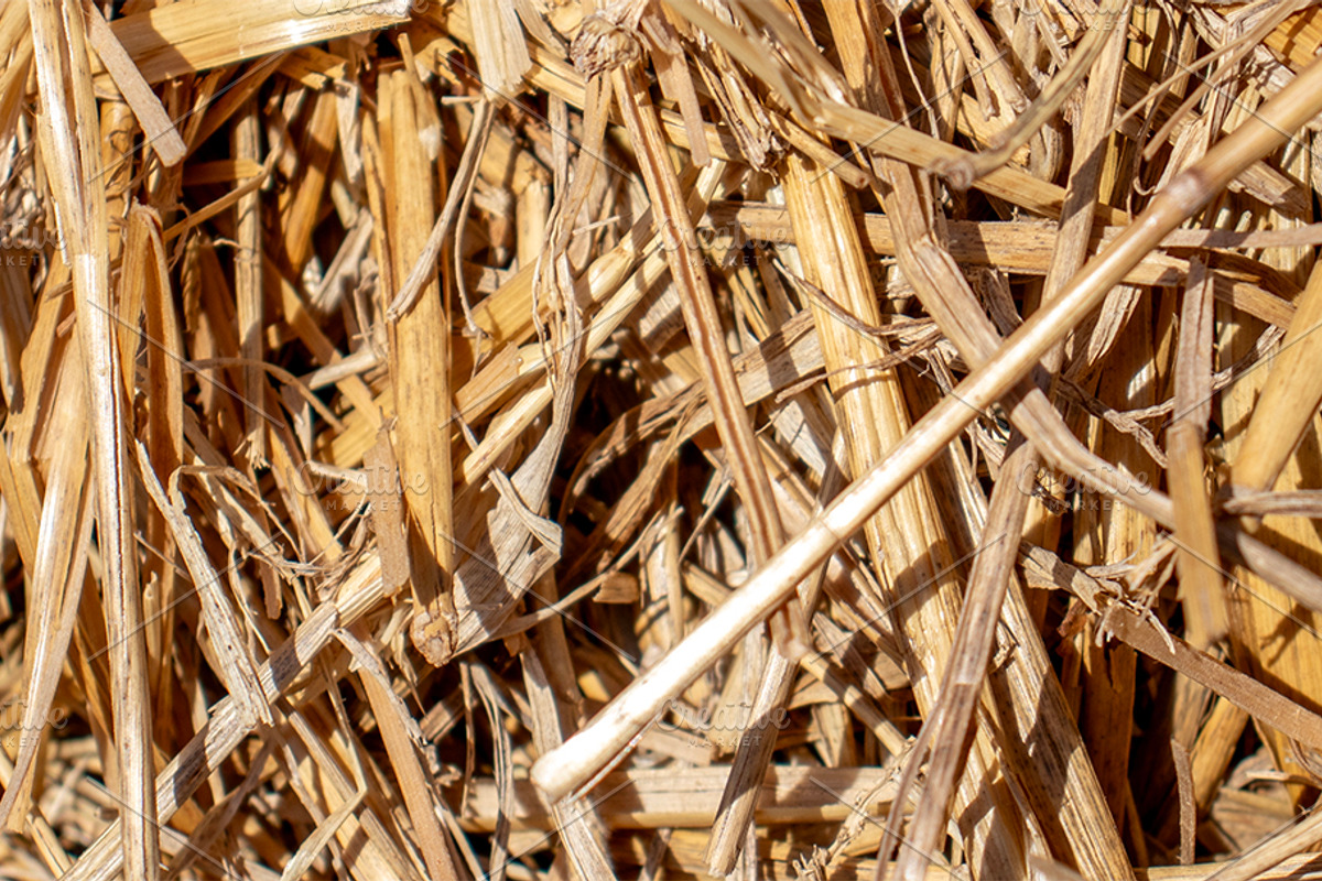 The straw lies on the ground, an Abstract Photo by Schreibikus (Photo 3 of 7)