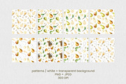 Pear Wine - Fruit Watercolor Clipart, a Decorative Illustration by foxsong (Thumbnail 14 of 16)