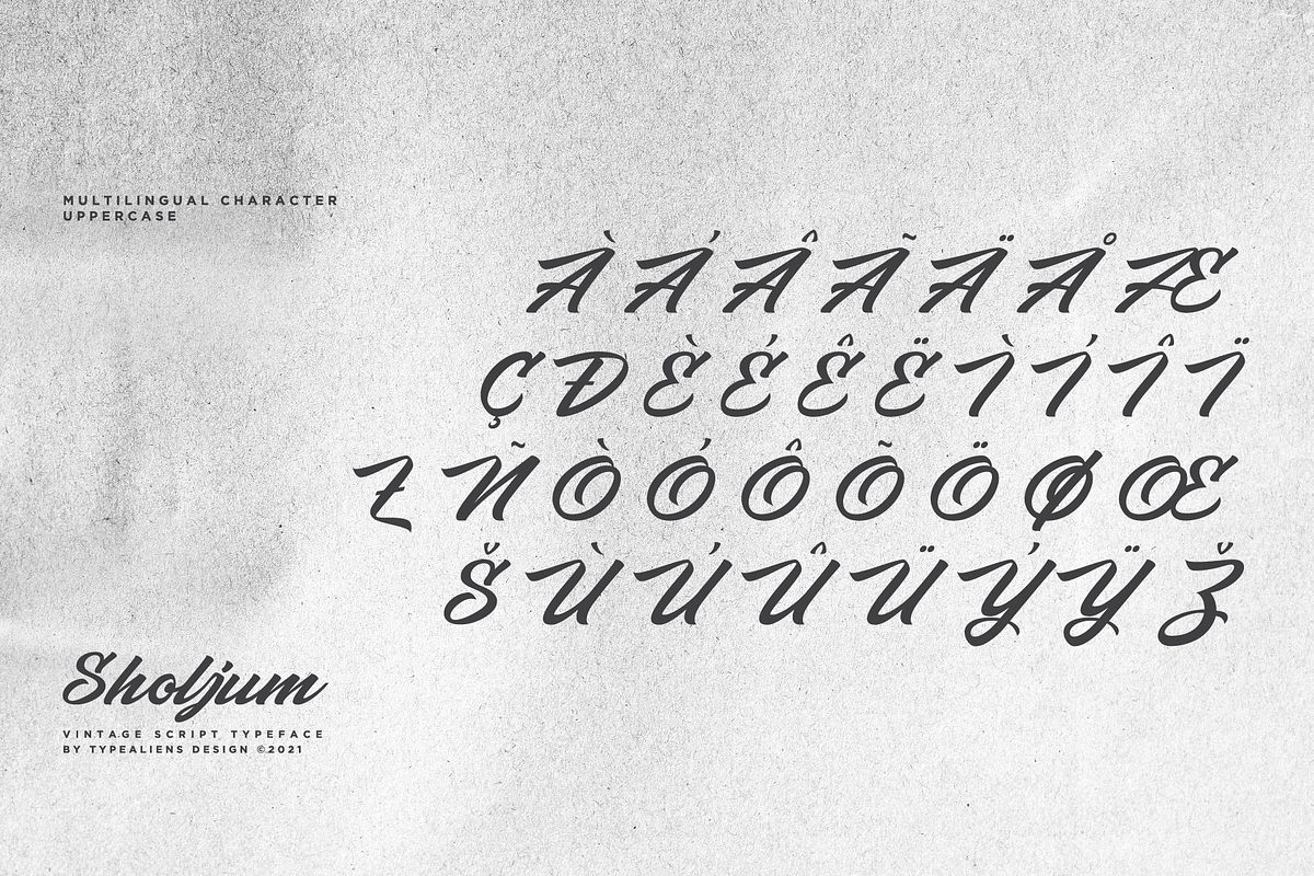 Sholjum, a Script Font by ilhamtaro (Photo 10 of 11)