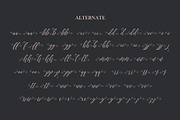 Mordane, a Script Font by Gatype (Thumbnail 8 of 10)