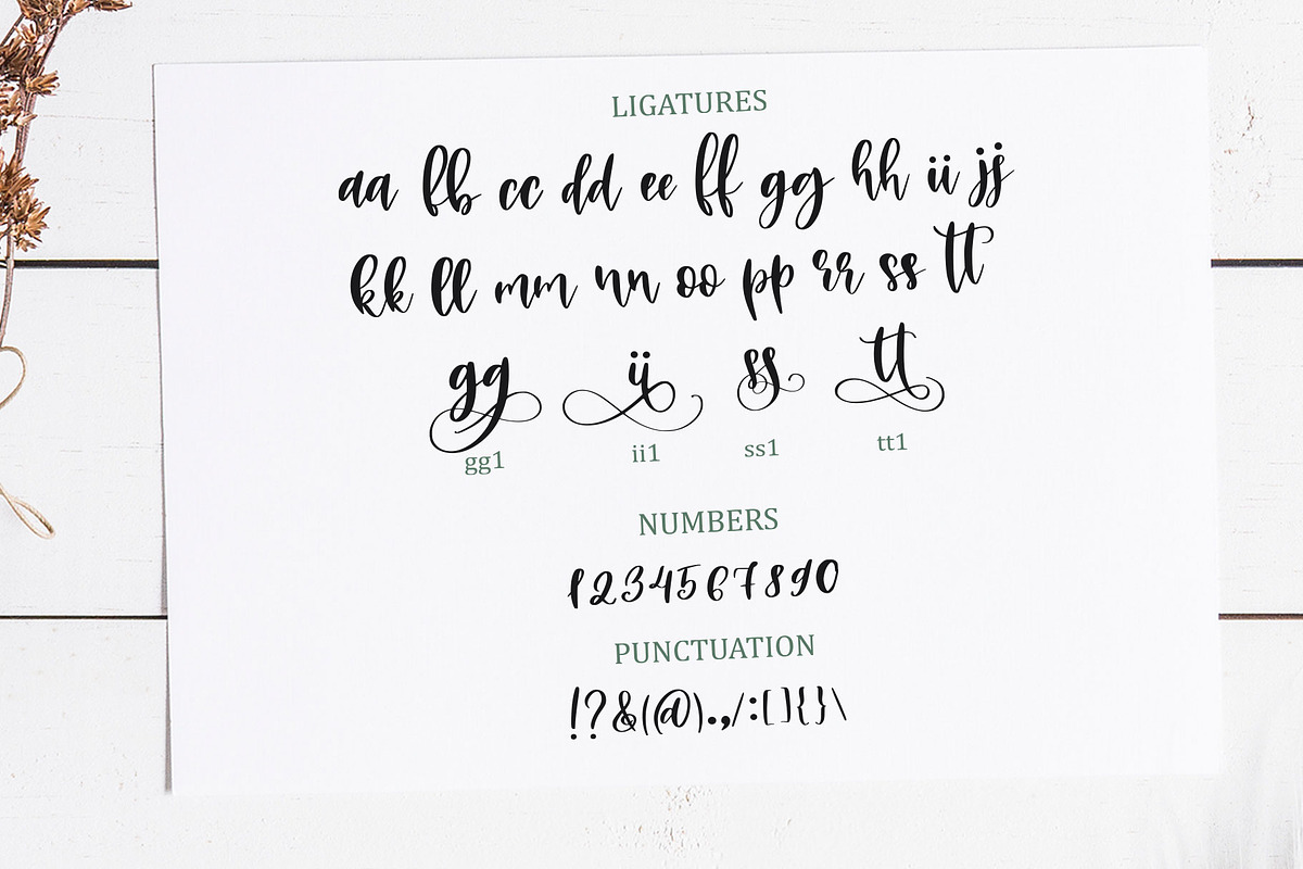 Beauty Youth. Lovely Script preview 4