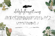 Rhinchost Typeface, a Script Font by Maxim apperian (Thumbnail 7 of 8)