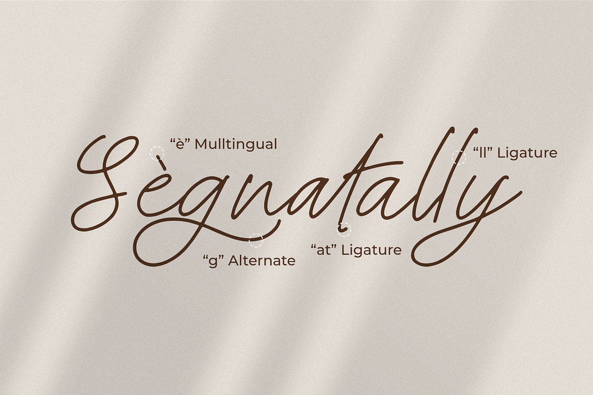 Steelbany, a Script Font by Goresan Studio (Photo 14 of 15)