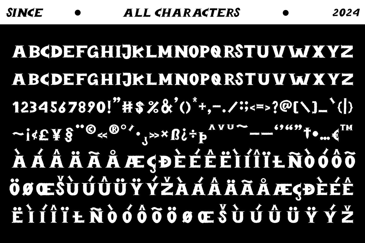 Bandaland Rough, a Serif Font by Craft Supply Co. (Photo 8 of 8)