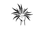 Hand Plant Growth Bundle, an Illustration by yasushie (Thumbnail 17 of 31)