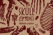 Skeleton Creator - Front & Profile, an Illustration by Andrea Tardivo (Thumbnail 4 of 5)