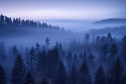 250 Misty mountain landscape Bundle, a Nature Photo by Virgo Studio (Thumbnail 3 of 7)