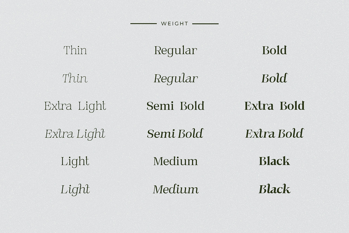 Novarick, a Serif Font by din-studio.com (Photo 5 of 16)