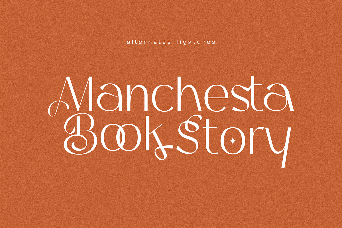 Bagina Serif, a Serif Font by 24Design Studios (Photo 8 of 8)