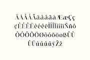 Allure Majestic Serif Family Font, a Serif Font by UICreative (Thumbnail 5 of 12)