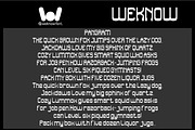 The Bridge font, a Slab Serif Font by weknow (Thumbnail 6 of 8)
