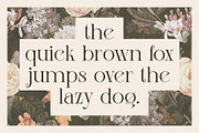 Lissa Stylish Ligature Serif Font, a Serif Font by Eotype Studio (Thumbnail 3 of 9)