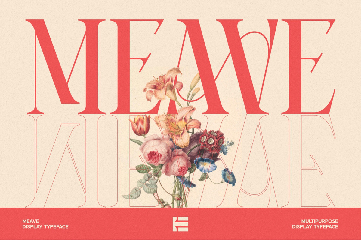 Meave, a Serif Font by Eotype Studio (Photo 1 of 12)