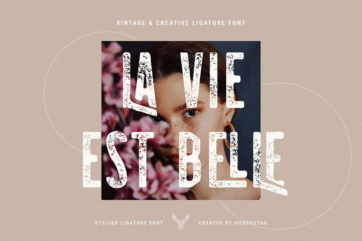 skyline - vintage ligature sans font, a Sans Serif Font by SilverStag Type Foundry (Photo 5 of 16)