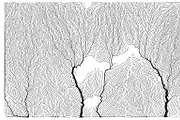 Growth - 50 Backgrounds, a Texture Graphic by GarryKillian (Thumbnail 36 of 51)