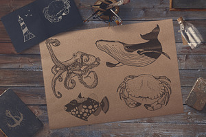 Nautical illustrations