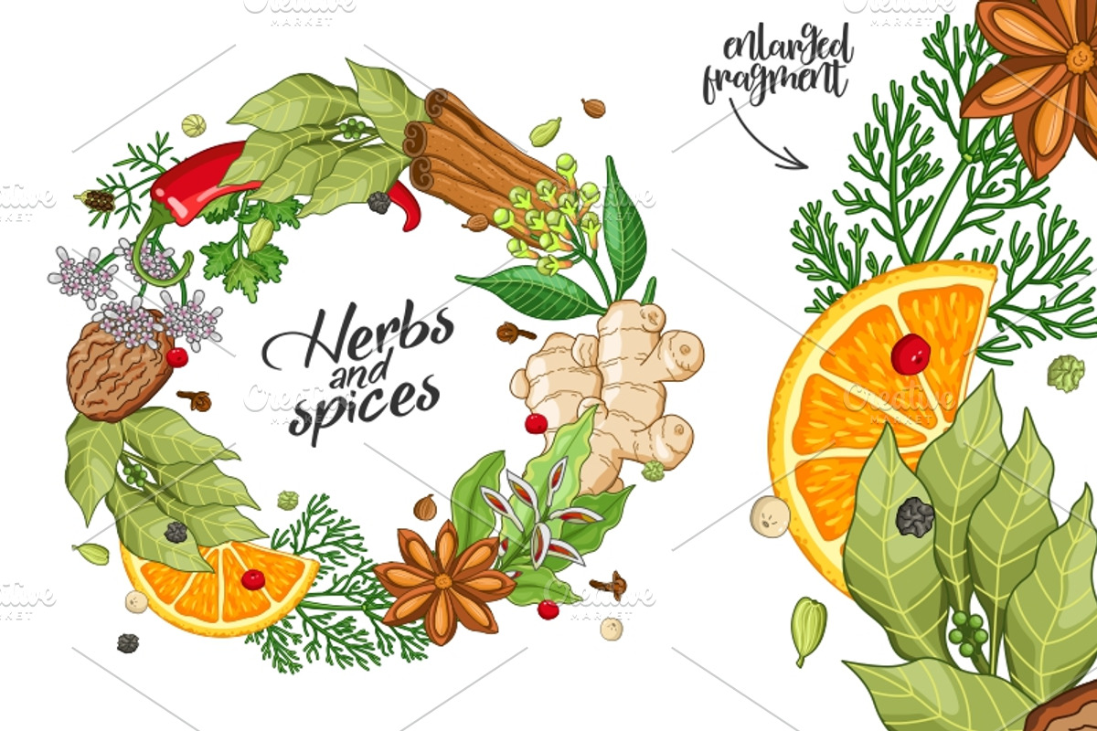 Winter spices and herbs templates, a Food Illustration by Primula`s shop (Photo 2 of 4)