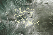 Wisteria Tale - Whimsical Script, a Handwritten Font by shineink.designlab (Thumbnail 2 of 14)