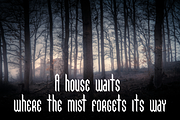 Eldravik — Runic Gothic Font, a Blackletter Font by Wolgard (Thumbnail 14 of 14)