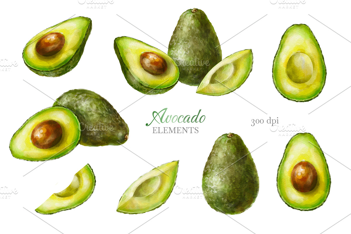 Avocado Watercolor Collection., a Decorative Illustration by VetaDesign (Photo 2 of 8)