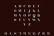Chalga Folk Edition - Serif font, a Serif Font by VP Fonts (Thumbnail 8 of 10)