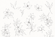 Illustrated Florals for Weddings, an Illustration by Blushed Design by Katrina (Thumbnail 5 of 6)