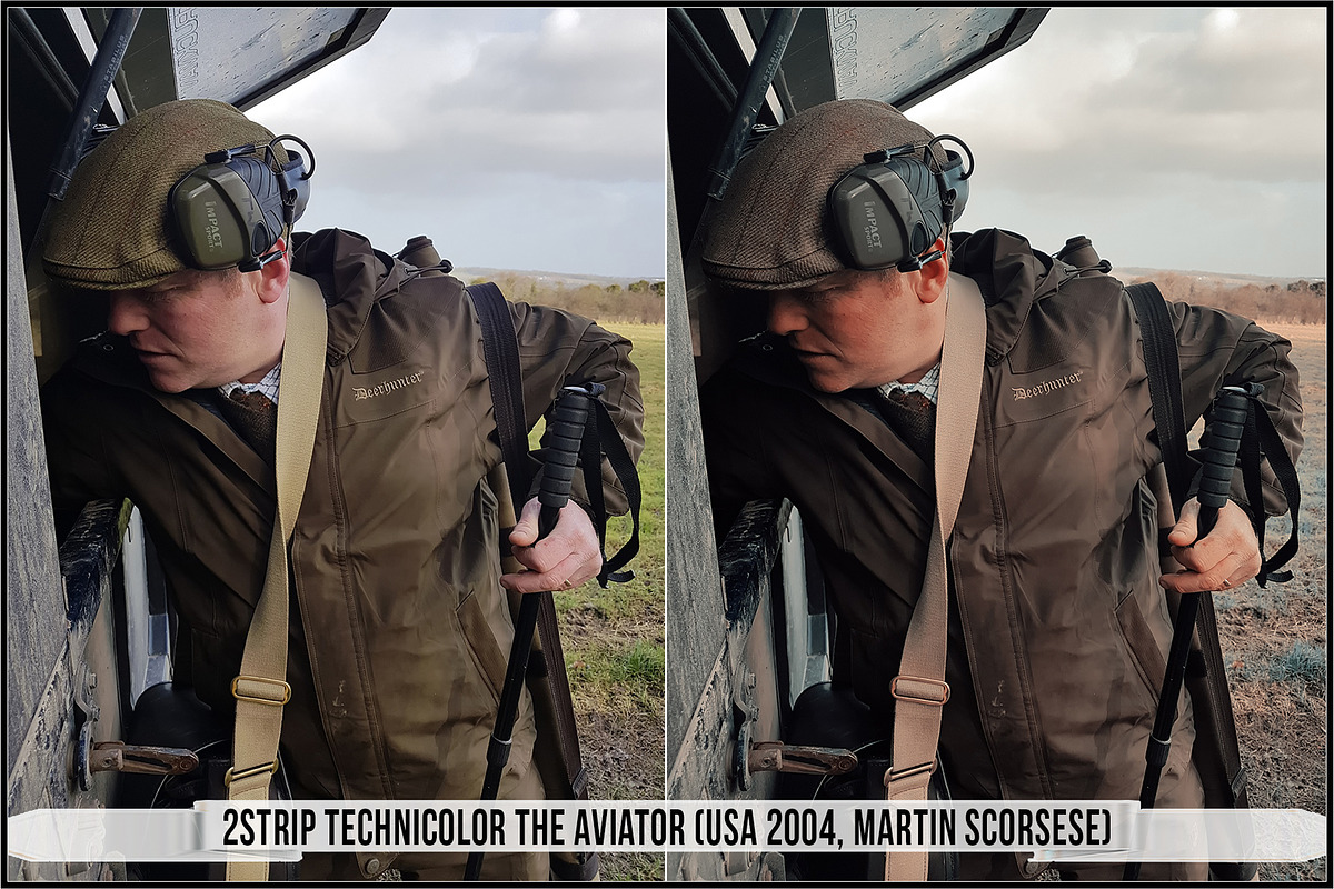 Technicolor Ver. 3 Profiles LUTs, a Plug-in Add-On by Raztrend (Photo 27 of 32)