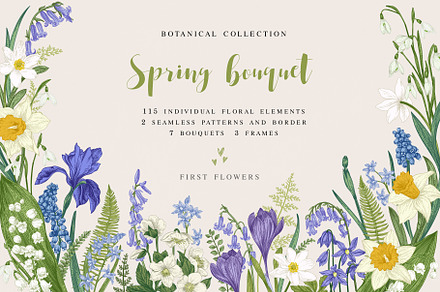Spring bouquet. Botanical collection