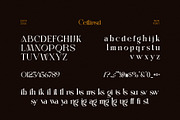 Cettinsd Elegant Serif Font Typeface, a Serif Font by Perfectype (Thumbnail 6 of 6)