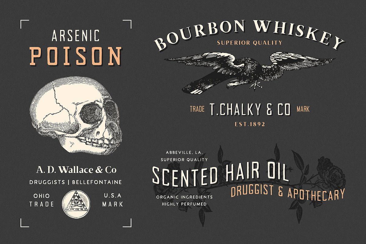 19 Vintage Fonts Bundle & Extras preview 3