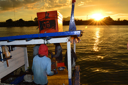 Fishermen Sorting Fish