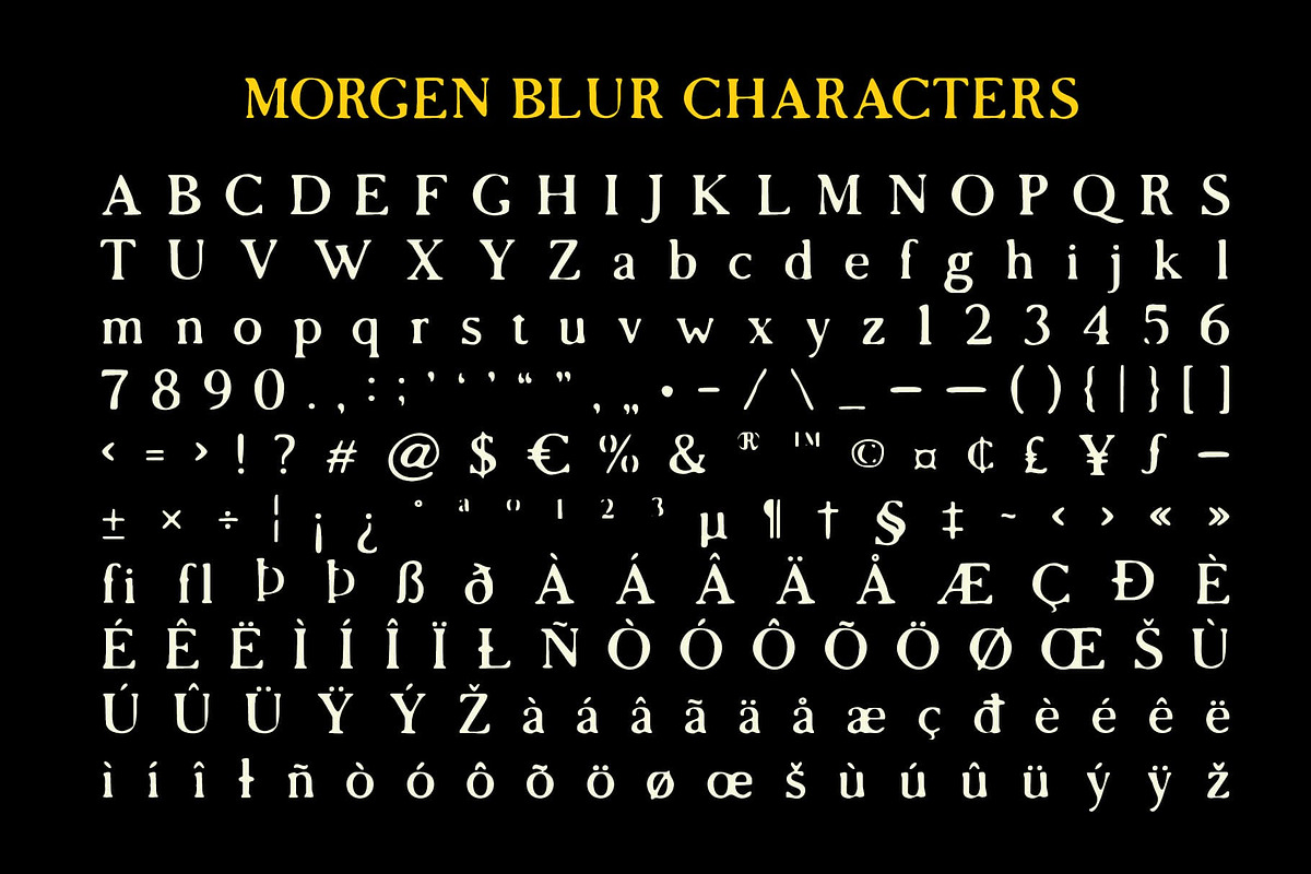 Morgen Blur, a Serif Font by Craft Supply Co. (Photo 8 of 8)