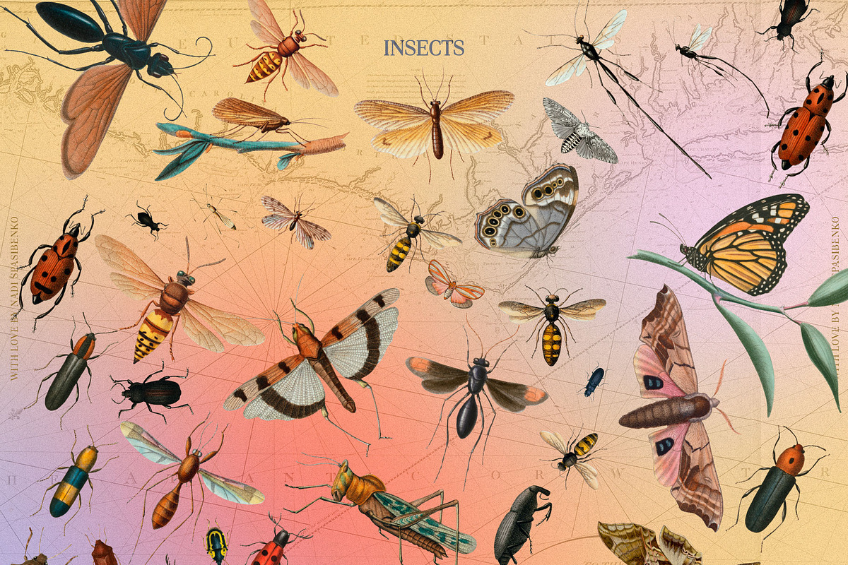 Incredible Collage, an Object Graphic by nadispasibenko (Photo 15 of 15)