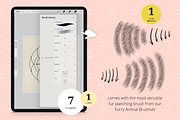 Exotic Shorthair Drawing Guide, a Brush Add-On by Artbykimmyw (Thumbnail 2 of 4)