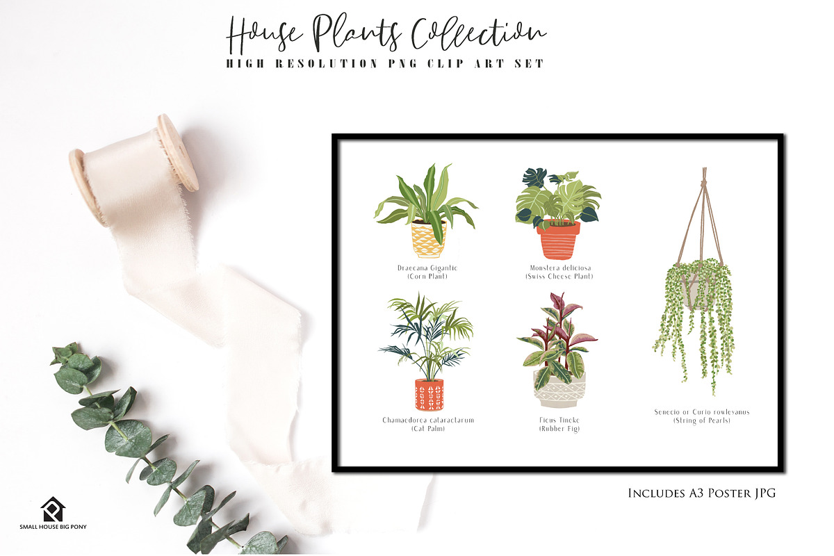 House Plants Collection, a Graphic by SmallHouseBigPony (Photo 3 of 18)