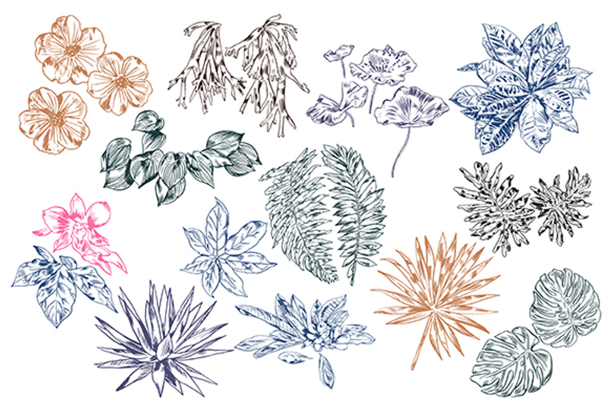 TROPIC SET, an Animal Illustration by Tanya Akhmett (Photo 2 of 5)