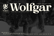 Wolfgar - Serif Font Family, a Serif Font by Artistic & Unique (Thumbnail 1 of 15)