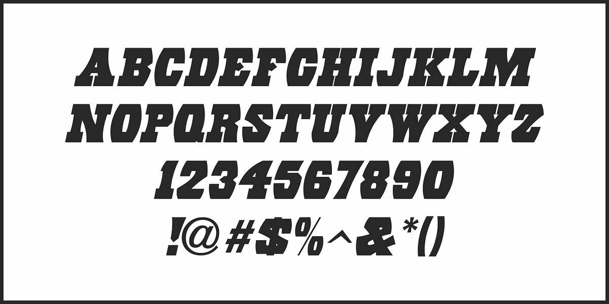 Eccentric Wood Type JNL, a Slab Serif Font by Jeff Levine Fonts (Photo 5 of 5)